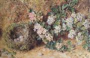 William Henry Hunt,OWS Chaffinch Nest and  May Blossom (mk46) oil painting on canvas